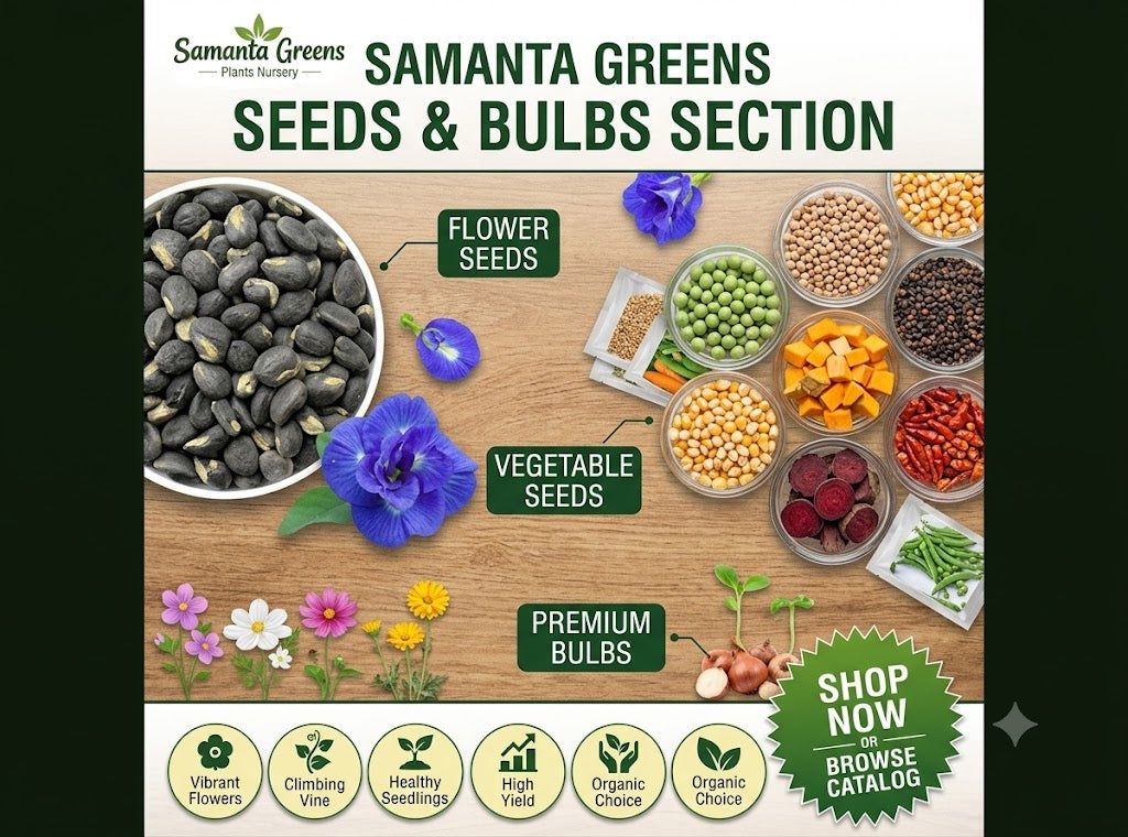 SEEDS AND BULBS