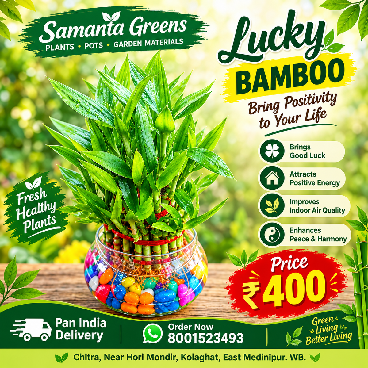LUCKY BAMBOO THREE LAYER