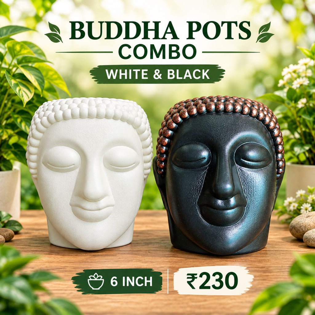 BUDDHA POTS COMBO