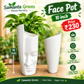 Face Pot