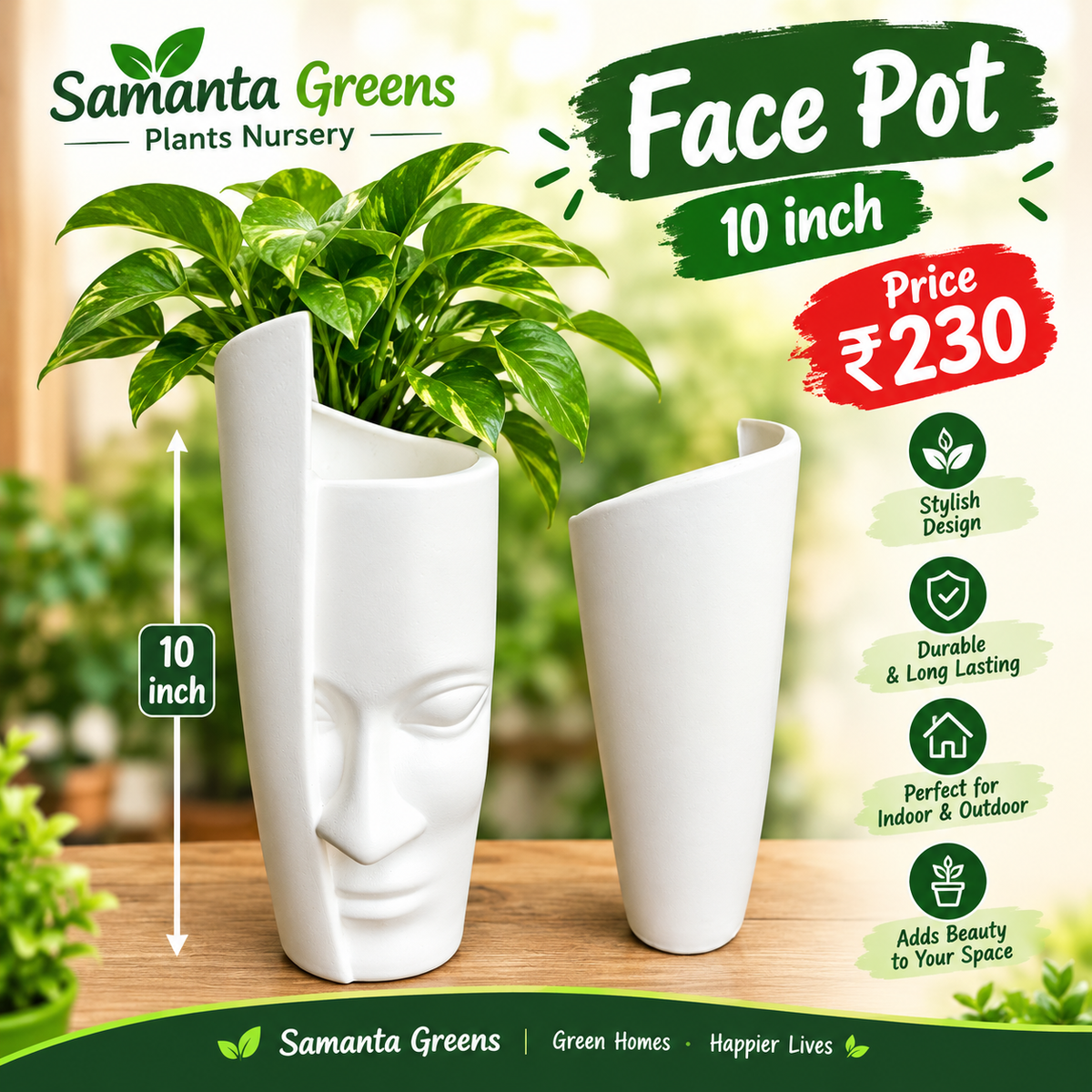 Face Pot